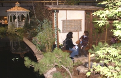 Some difficult garden access